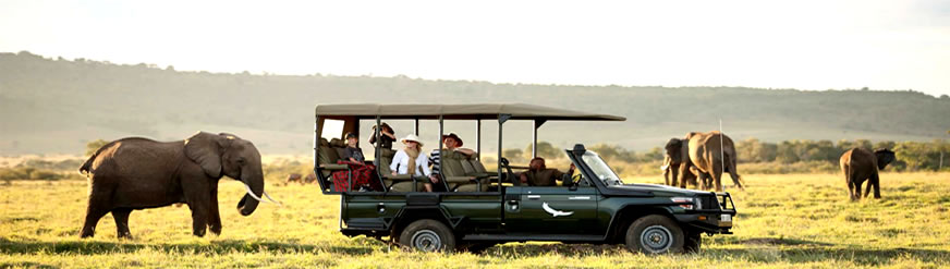 Kenya safari package